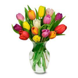 Erzurum Çiçek Siparişi Vazoda 15 Renkli Lale