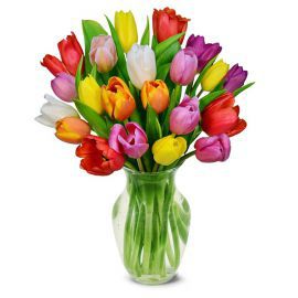  Erzurum Çiçek Siparişi Vazoda 20 Renkli Lale